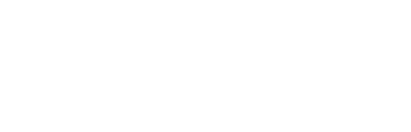 RazPro Business Solutions